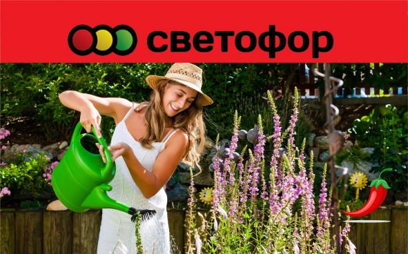 Комод уно 22 светофор