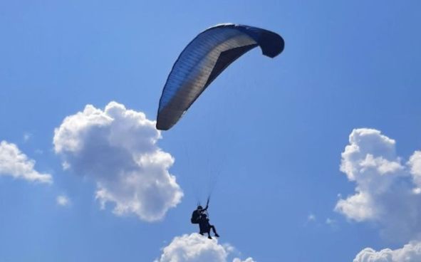 Изображение акции