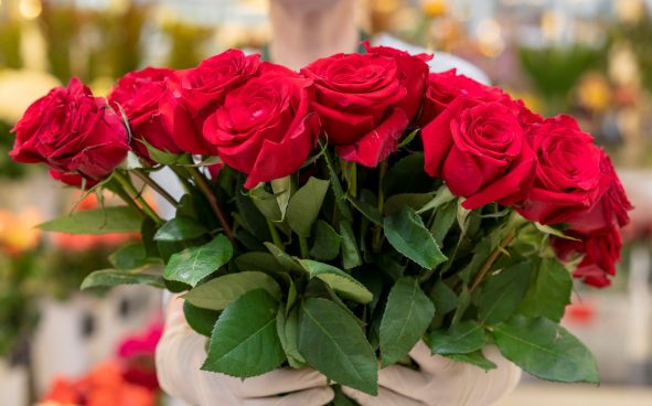 Изображение акции