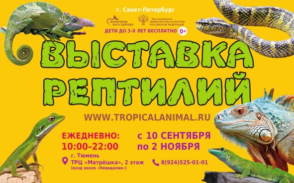 Изображение акции