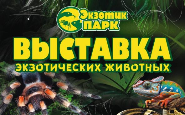 Изображение акции